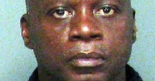 Johnsonville Police arrest man with stolen license tag