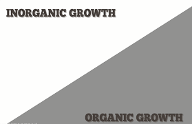 Organic Growth Definition
