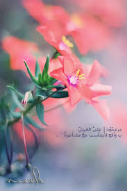 صور أنمي مكتوب عليها كلام جميل و رمضان كريم , خلفيات دينيه وكلام روعه لرمضان صور عن رمضان مع عبر وحكم, مواعظ بالصور لشهر رمضان , صور اقتباسات رمضانيه حالات رمضان صور مكتوب عليها, اجمل بوكية ورد. Ø®Ù„ÙÙŠØ§Øª ÙˆØ±ÙˆØ¯ Ø¬Ù…ÙŠÙ„Ø©