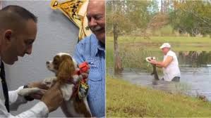 Discover hundreds of ways to save on your favorite products. Puppy Rescued From Jaws Of Alligator Honoured As Deputy Dog By Florida Sheriff See Pictures And Videos Latestly