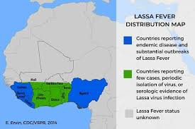 Image result for Lassa Fever