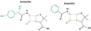 Image result for Penicillin