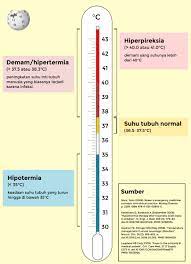 Sejumlah faktor dapat memengaruhi suhu badan anda, termasuk jenis kelamin, waktu, dan tingkat aktivitas anda. Wikipedia Bahasa Indonesia Ar Twitter Pada Suhu Tubuh Manusia Terdapat Berbagai Istilahnya Sendiri Kenali Dan Periksakan Diri Anda Ke Dokter Apabila Suhu Tubuh Tidak Normal Https T Co 0y1nx3z8as