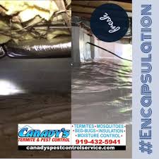 Since 1978, we have been providing effective pest control. Canady S Termite And Pest Control Home Facebook