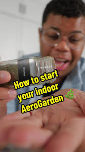 Tired of planting herbs outside and watching them die shortly after? This  countertop indoor herb garden is the perfect solution! 🌿 #problemsolved  #fyp #lifehacks #gardening #homegarden #newgardener ...