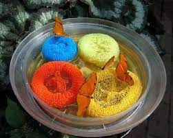 Butterfly release company did exactly what they said they would do. How To Attract Butterflies To Your Garden Insteading