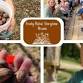 Fruity Pickin' Storytime - Pecans