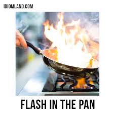 Idiom Flash In The Pan In 2020 Idioms Flash Learn English