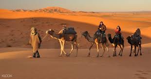 Camel safari in leh is one of the top activities to do in city. Thar Desert Camel Safari From Jodhpur