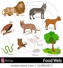 Food Web Images Stock Photos Vectors Shutterstock