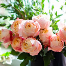 Maybe you would like to learn more about one of these? Flower Outlet 56 Photos 37 Reviews Florists 165 Amherst St Nashua Nh Phone Number Yelp