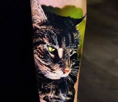 Cat Head Tattoo By Andrey Stepanov Post 29038 In 2020 Tattoo Artists Cat Tattoo Head Tattoos