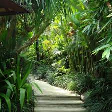 The most important features of a tropical landscape design plan are the plants! Our Projects Bali Landscape Company Bali Landscape Tropical Landscape Design Garden Tropical