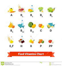 chart of food icons and vitamin groups stock vector