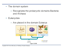 Chapter 15 Tracing Evolutionary History Power Point Lectures