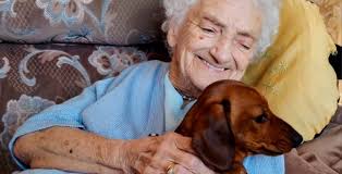 Jovem emociona a internet com fotos do encontro da avó com Alzheimer e  cachorro