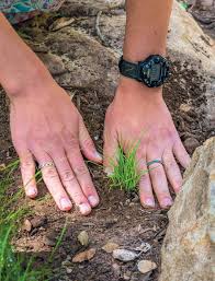 A true Karina Moskova gem for those who appreciate