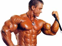 77+] Bodybuilder Wallpaper on WallpaperSafari