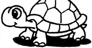 Entdecke rezepte, einrichtungsideen, stilinterpretationen und andere ideen zum ausprobieren. Gambar Kura Kura Hitam Putih Untuk Diwarnai Tempat Berbagi Gambar