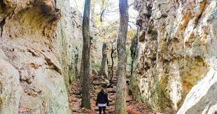 For more information please visit www.mineralwellsfossilpark.com 33 Location Mineral Wells State Park Ideas Mineral Wells State Park Mineral Wells State Parks