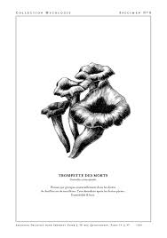 Trompette Des Morts Amandine Delaunay Sergeant Paper Editions Giclee Print Sur Papier William Turner Dessin Botanique William Turner Trompette De La Mort