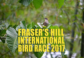 The weather made bird watching a little more difficult but we still got to see some species. Fraser S Hill International Bird Race 2017 Travel Food Lifestyle Blog
