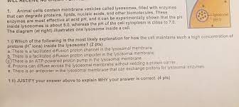 Maybe you would like to learn more about one of these? 1 Animal Cells Contain Membrane Vesicles Called Chegg Com