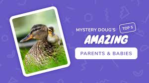 Summer, first time down the mountains in 16 years, after being raised by his 3 masters and fairy sister. How Do Flowers Bloom In The Spring Mystery Doug