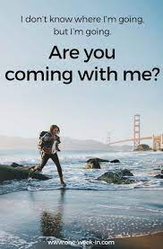 41 Funny Travel Quotes 2021 To Make You Laugh Until You Cry Funny Travel Quotes Travel Humor Funny Quotes