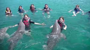 Atlantis Sanya Official Site – Where Water Meets Wonder