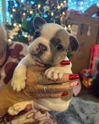 Ryan DeVault (@r.rief77) • Instagram photos and videos