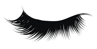 Slikovni rezultat za EYELASH