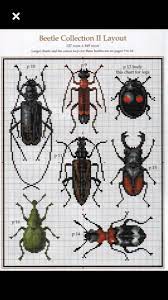 Maybe you would like to learn more about one of these? Steph Skipp On Twitter Recently Discovered That Scientifically Accurate Beetle Cross Stitch Patterns Exist I Don T Cross Stitch But If There Was Ever An Incentive To Start Https T Co 59o2fmctlr