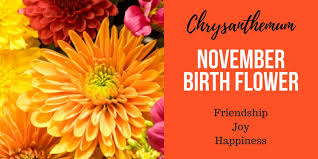 Discover Your Birth Flower Interflora