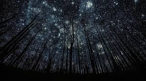 Starry Night Surprise. The night sky, Studded with stars… | by Natasha  Kurien | P.S. I Love You