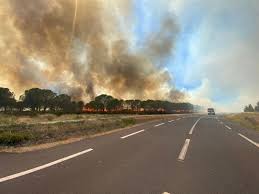 Nous vous en avions parlé ce matin, les vents forts d'aujourd'hui faisaient craindre le pire du côté des incendies. Pyrenees Orientales Nouveau Depart D Incendie Une Partie De La Rd616 Coupee A La Circulation Actu Perpignan