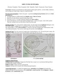 We did not find results for: Life Cycle Of Funaria Spore Plant Stem