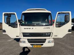 Image result for Ned Blau 1999 DAF