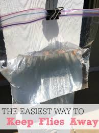Full list of synonyms for fly away is here. The Easiest Way To Keep Flies Away Frugally Blonde