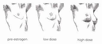 Estrogen HRT and breast growth