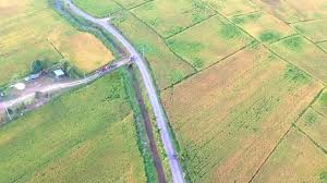 Qualifier » wet land where rice grows. Pemandangan Hamparan Sawah Padi Dari Pandangan Atas Youtube