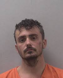 MCLEMORE, DEVIN STORM