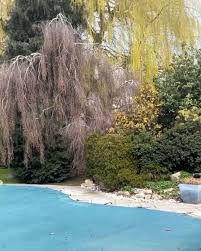 Essex is a home county found north east of london, on the east coast of england. Vk Ykkco R97lm