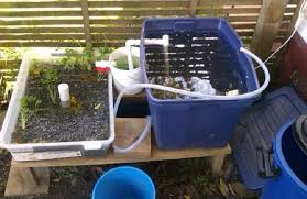 Easy diy aquaponics review is for anyone who wants to learn how to build their own backyard aquaponics system. How To Build A Cheap Diy Backyard Aquaponics System