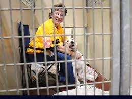 Some have already found their forever homes, but some may still be here at hsnega! Humane Society Dedicates Annual Fundraiser To Late Volu Accesswdun Com