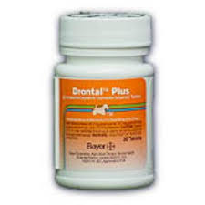Worms, if present, may or may not appear in the droppings for up to 48 hours after treatment. Drontal Plus For Small Dogs Pups Anthelmintic Petcarerx