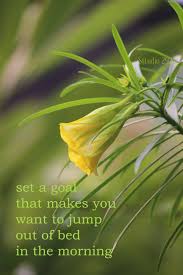 Flowers Inspirational Quotes For 2018 Beautiful Flowers Beautiful Flowers With Qu Quotes About Photography Flowers Photography Flowers Photography Wallpaper