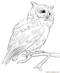 How To Draw A Realistic Owl Step By Step Drawing Tutorials Owls Drawing Realistic Drawings Animal Drawings