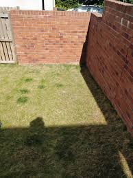 What that means is you should plan to have space between the flower. Flower Bed Against A Brick Wall Bbc Gardeners World Magazine
