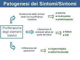 Si parla di piastrinopenia quando le piastrine circolanti sono inferiori a 150.000/mmc. Universita Degli Studi Di Chieti Facolta Di Medicina